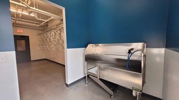 The flats at malcolm yards pet spa